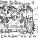 1995 Crown Vic Engine Diagram Full Hd Version Engine Diagram