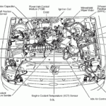 2003 Ford 3 0 V6 Engine Diagram - Wiring Diagrams Data