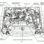 5 7L Vortec Engine Diagram Full Hd Version Engine Diagram