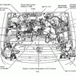 Diagram] Ford Ranger 4 Cylinder Engine Diagram Full Version