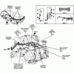 Does Anyone Have A Firing Diagram For A 1998 Ford Explorer