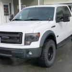 Ford F-150 Ecoboost Owners Talk Engine Reliability