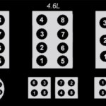 Ford Firing Order 5.0,4.6,3.8,3.9,4.9,7.5,5.8,5.4