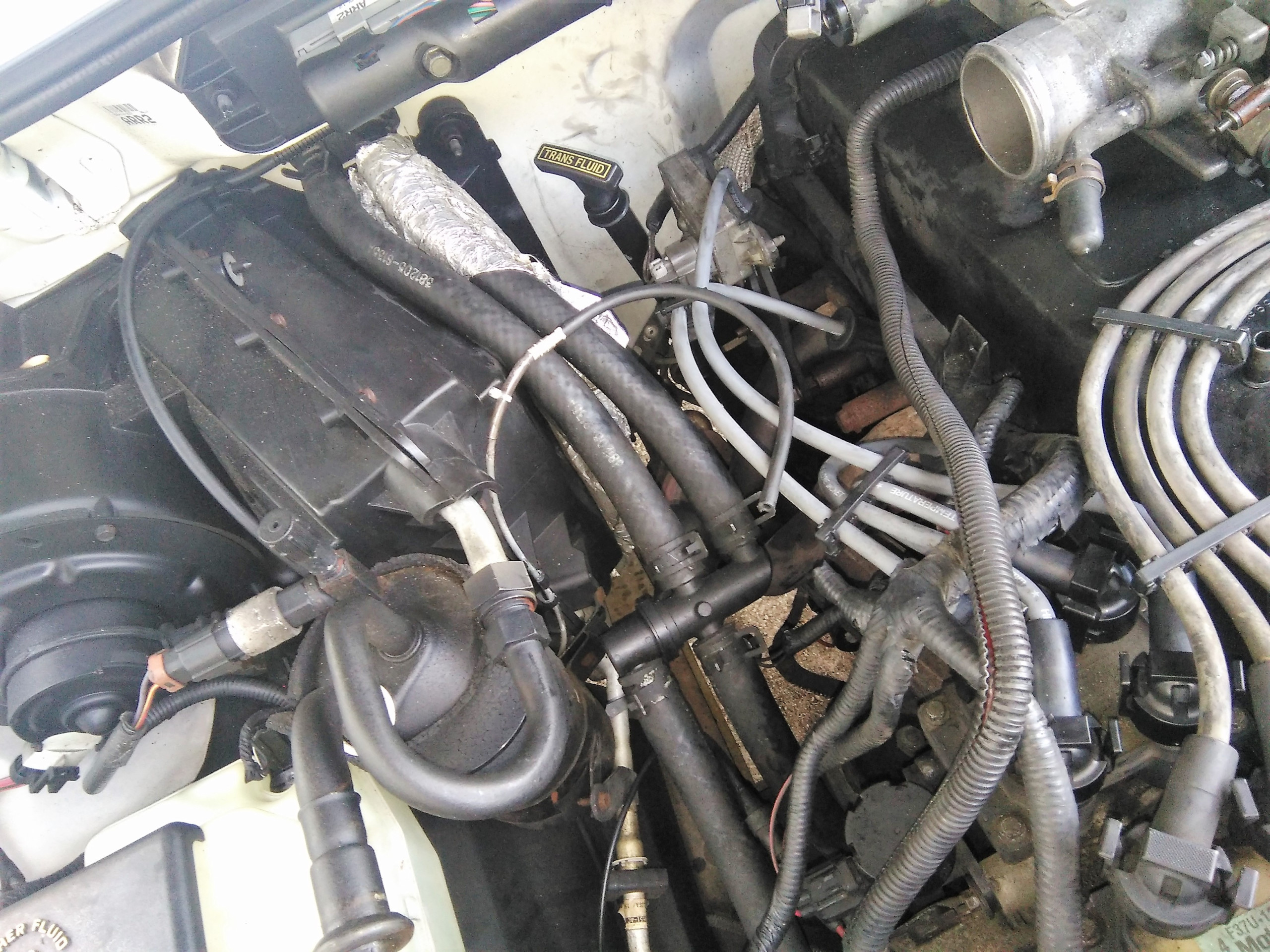 The Spark Plug Fun Begins - 97 Ford Ranger 2.3L Sohc