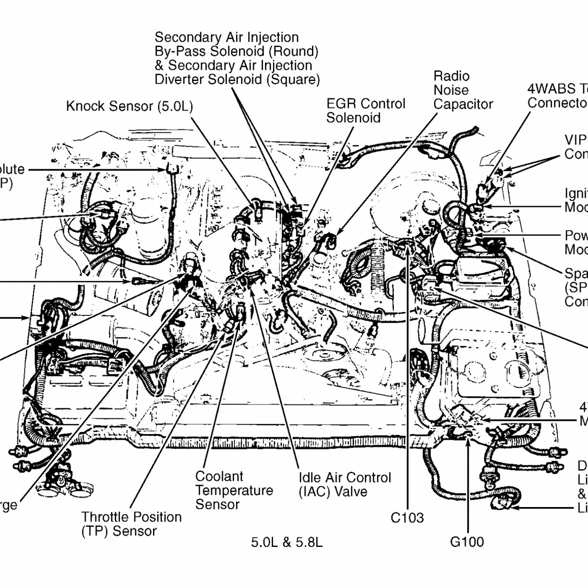 1999 Ford F150 4.6 Firing Order - 8hk13iz