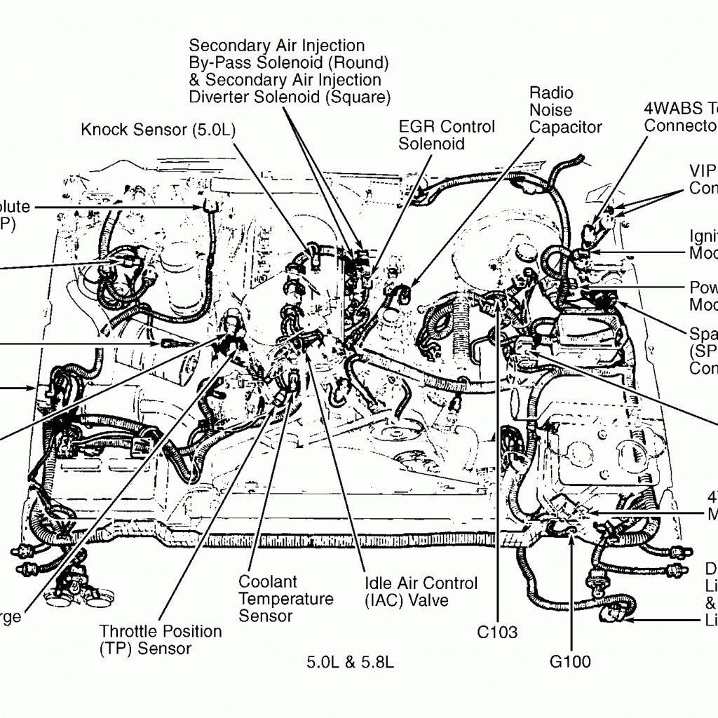 Ford 5.4 Triton Firing Order Diagram | Wiring and Printable