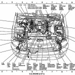 Diagram] 2001 Escape Engine Diagram Full Version Hd Quality