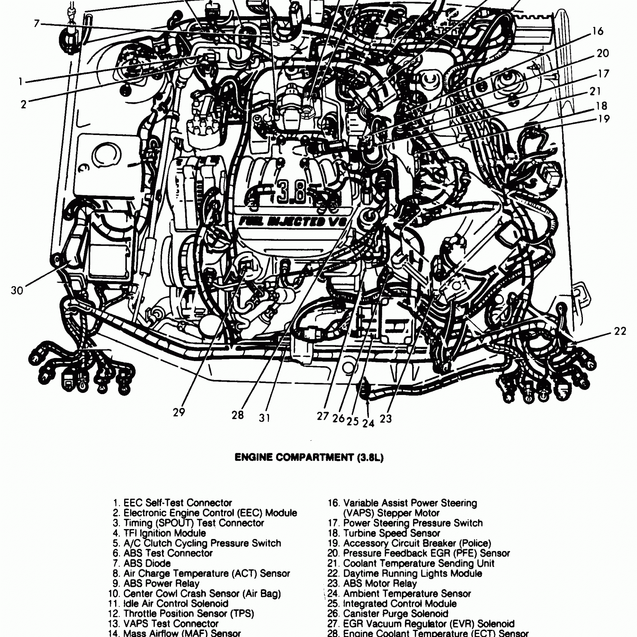 99 Ford Taurus 3.0 Firing Order | Wiring and Printable