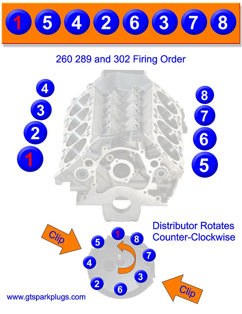 1971 Ford 302 Firing Order Wiring and Printable