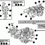 Le_2520] 2003 Ford Explorer V8 Firing Order Diagram