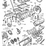 1977 351 Cleveland Engine Diagram - Dexter Axle Wiring