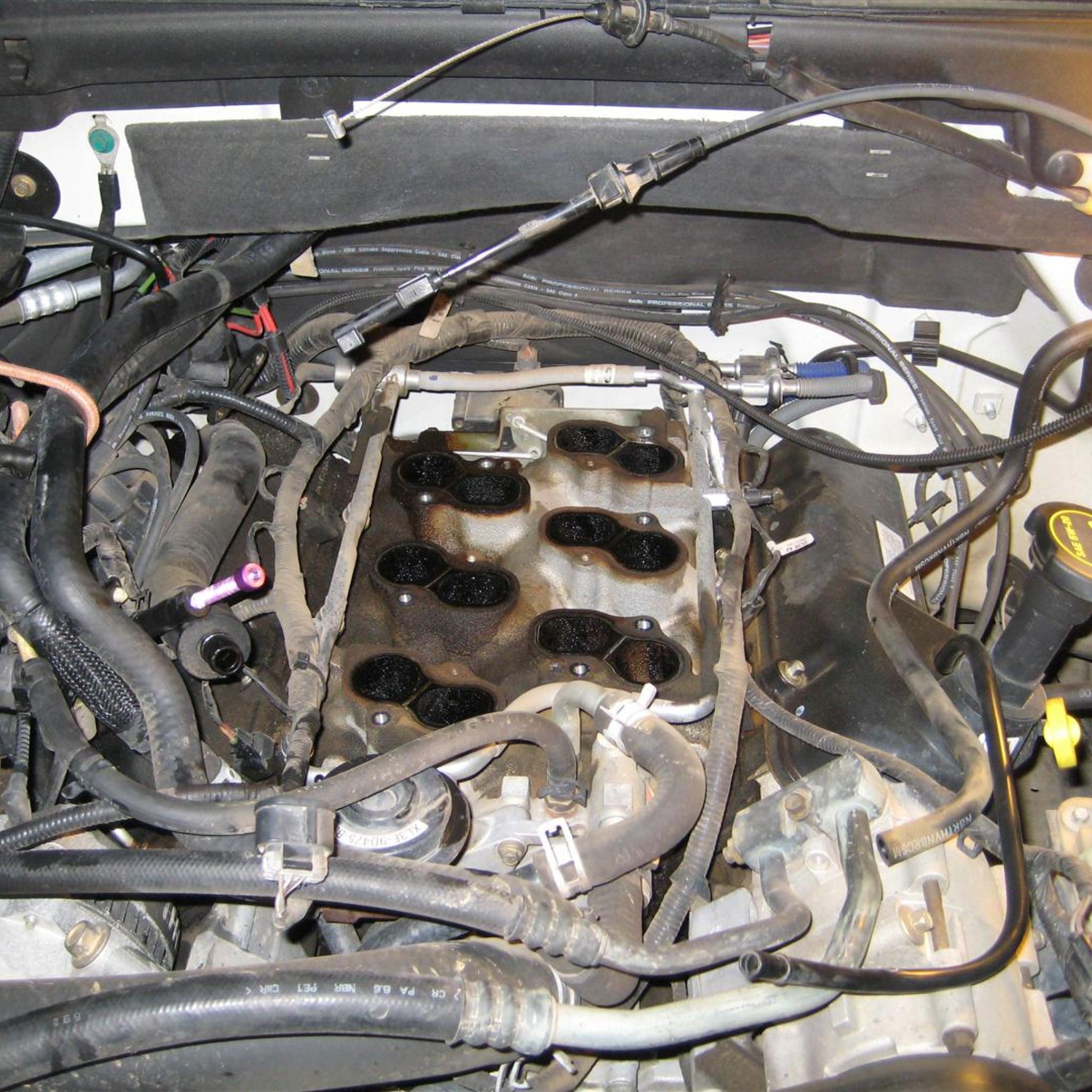 1999 Ford F150 4.6 Firing Order - 52gq0p0