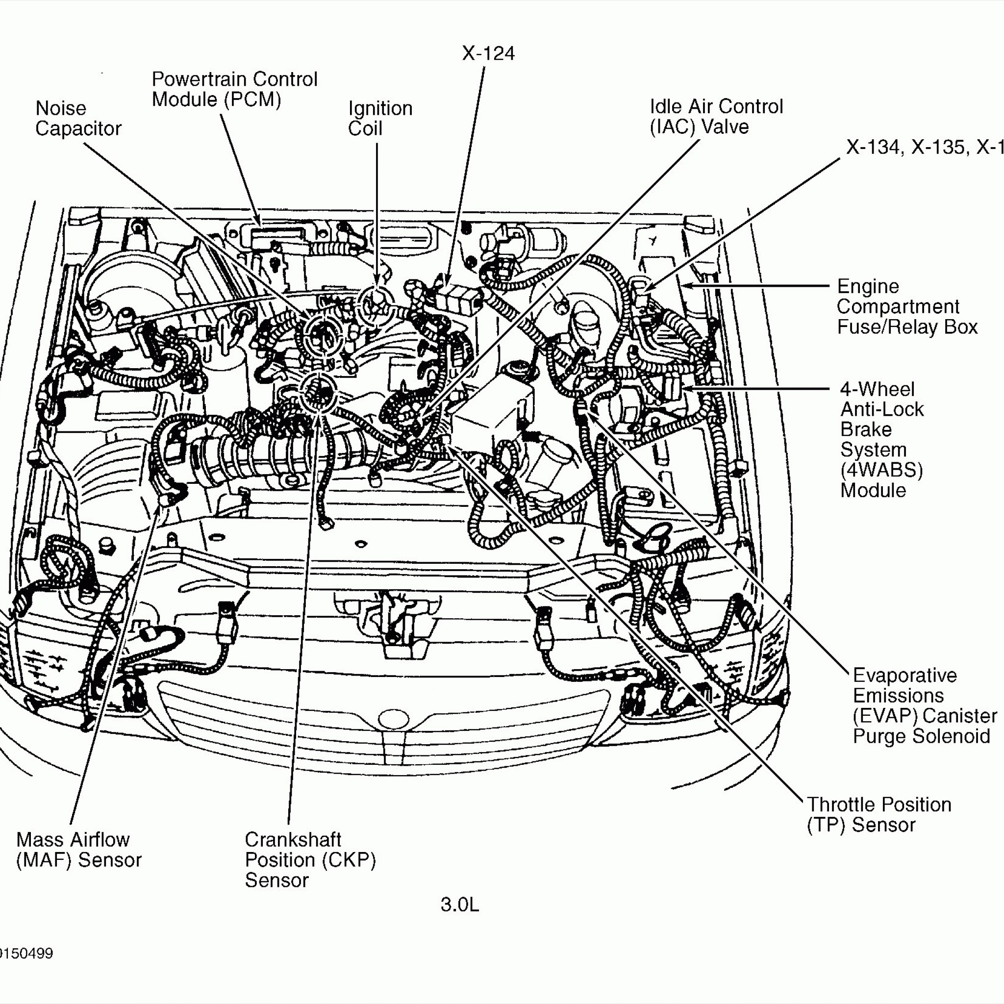 2008 Ford Escape 3.0 Firing Order | Wiring and Printable