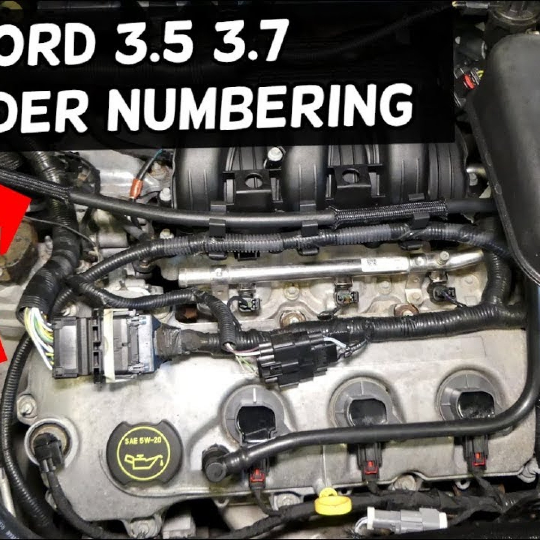 2007 Ford Taurus 3.0 Firing Order | Wiring and Printable