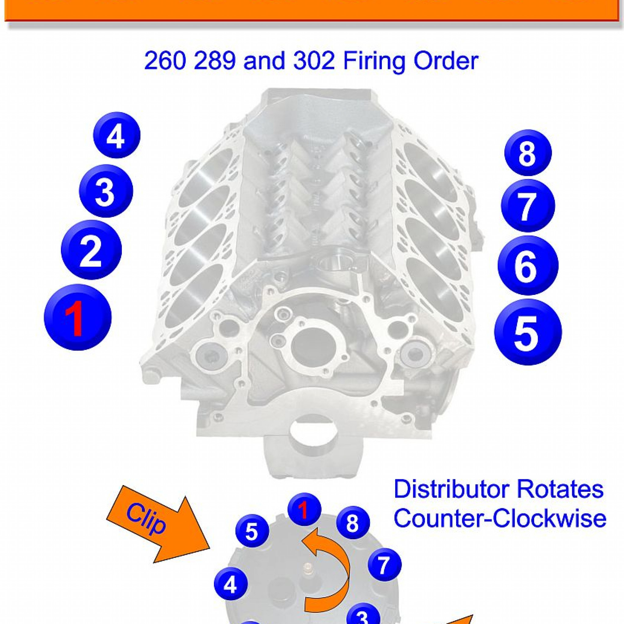 1972 Ford 302 Firing Order | Wiring and Printable