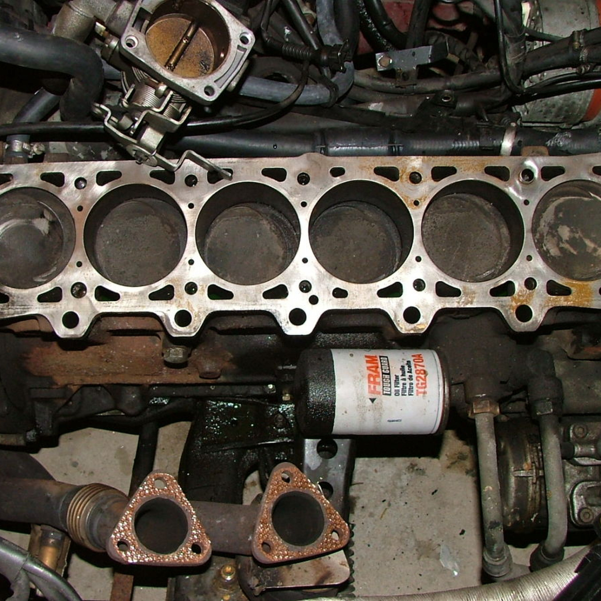 2000 Ford F150 4.2 Firing Order - hfpkoql
