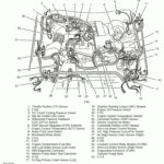 2001 Ford Escape Firing Order