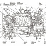 Ford Focus Zetec Firing Order