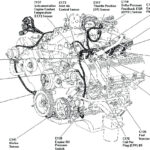 1999 Ford F150 4.2 Firing Order